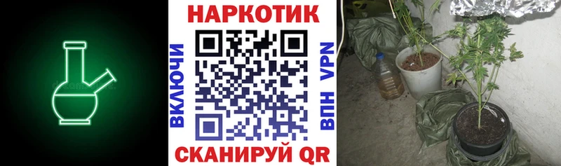 Хочу наркоту Сланцы АМФЕТАМИН  Гашиш  МАРИХУАНА 