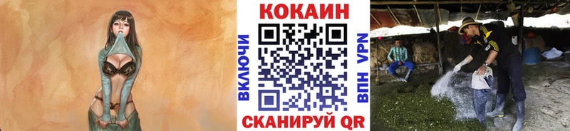 КОКАИН Fish Scale kraken сайт Сланцы