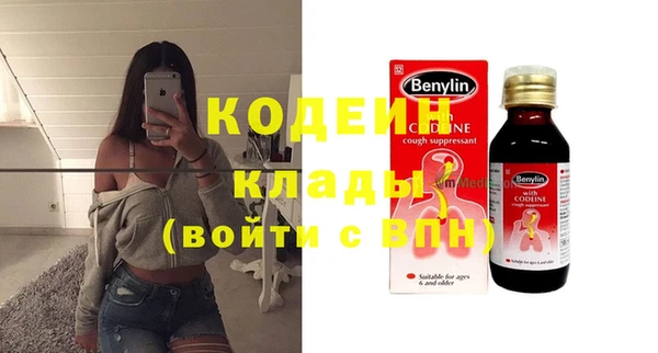 гидра Богородск