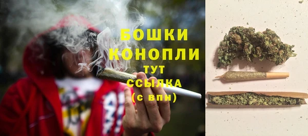 гидра Богородск