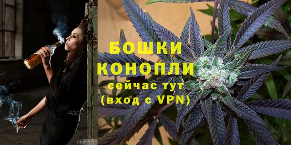 2c-b Богородицк