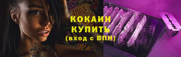 2c-b Богородицк