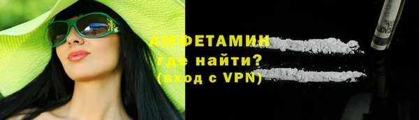 гидра Богородск