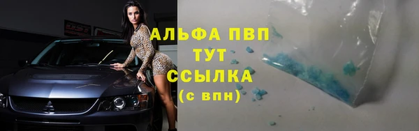гидра Богородск