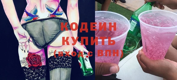 гидра Богородск