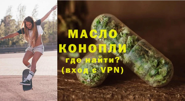 гидра Богородск