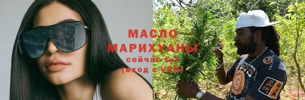 гидра Богородск