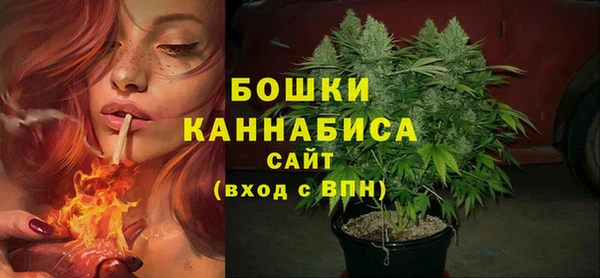гидра Богородск