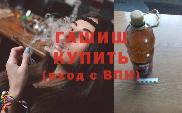 гидра Богородск
