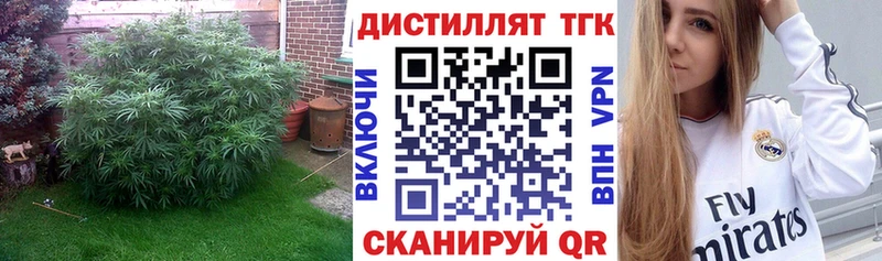 ТГК гашишное масло  что такое наркотик  Сланцы 