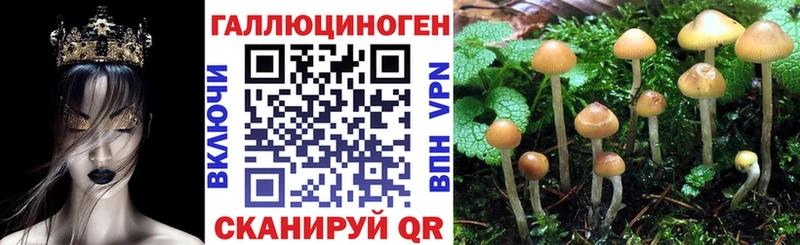 hydra ССЫЛКА  Сланцы  Галлюциногенные грибы MAGIC MUSHROOMS 